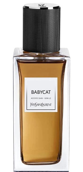 ysl cat